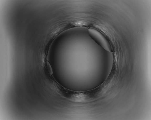 X0000096200219200801181347