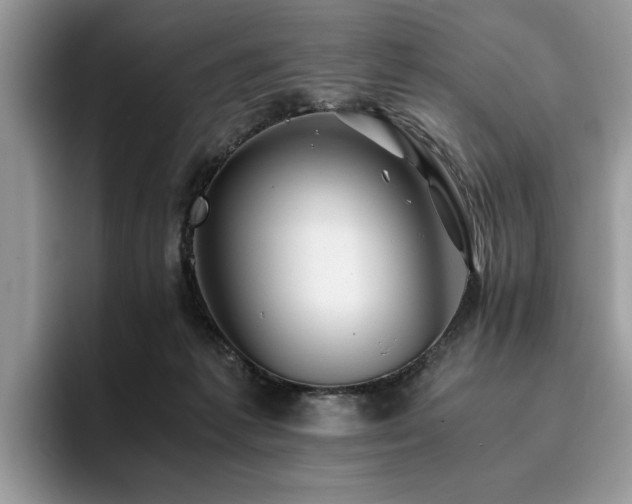 X0000096200221200801181347