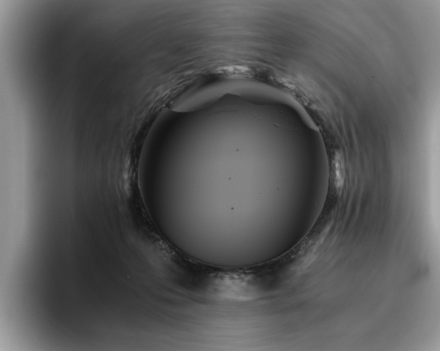 X0000096200223200801181347