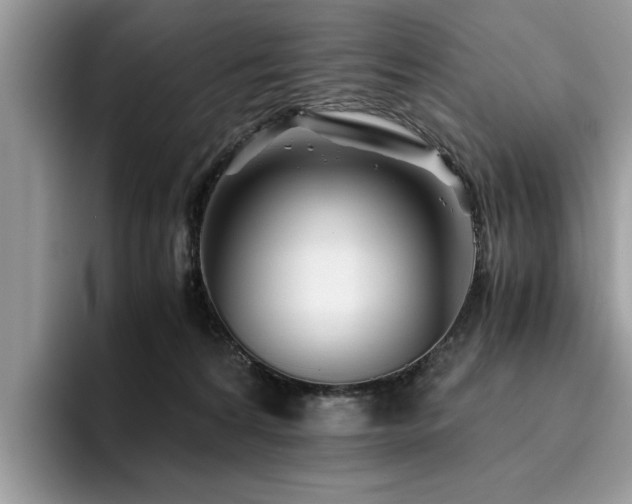 X0000096200224200801181347