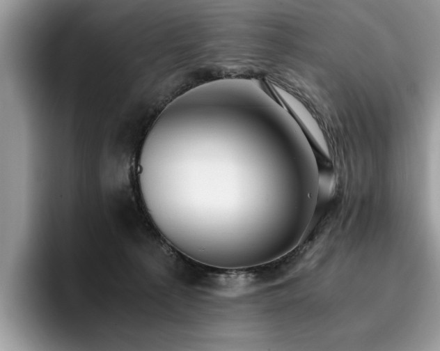 X0000096200225200801181347