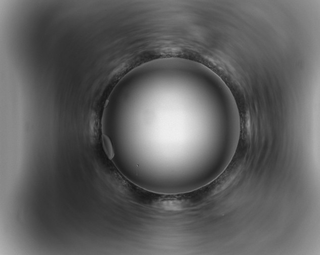 X0000096200228200801181347