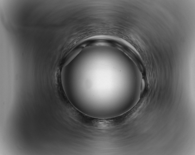 X0000096200229200801181347