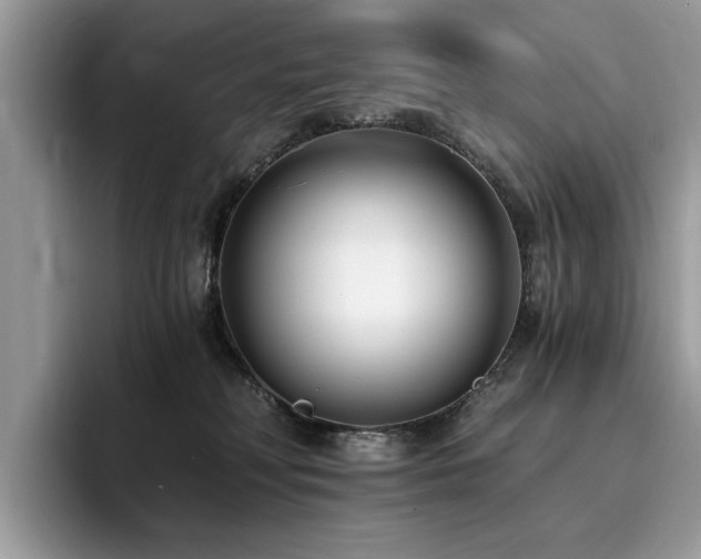 X0000096200230200801181347