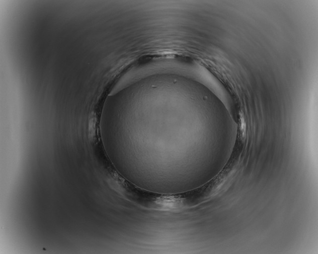 X0000096200231200801181347