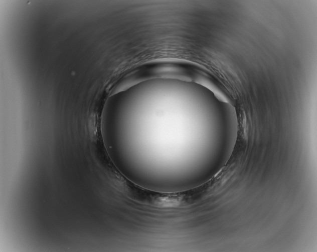 X0000096200232200801181347