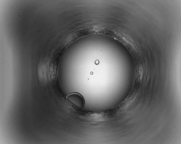 X0000096200236200801181347