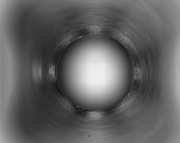 X0000096200238200801181347