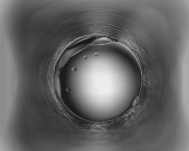 X0000096200241200801181346