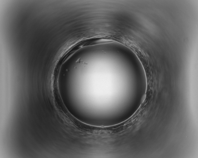 X0000096200242200801181346