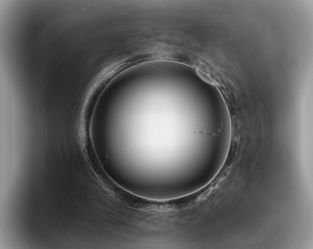 X0000096200245200801181346