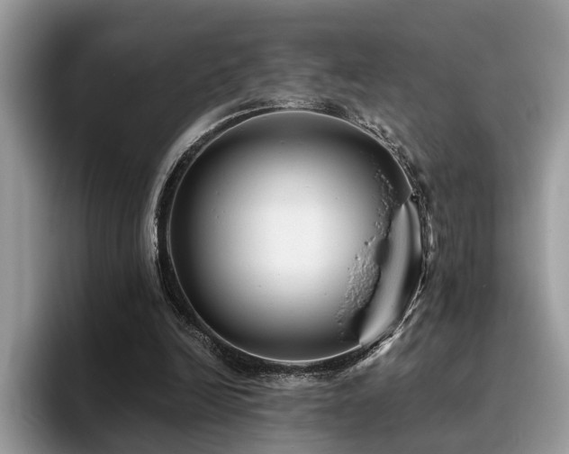 X0000096200246200801181346