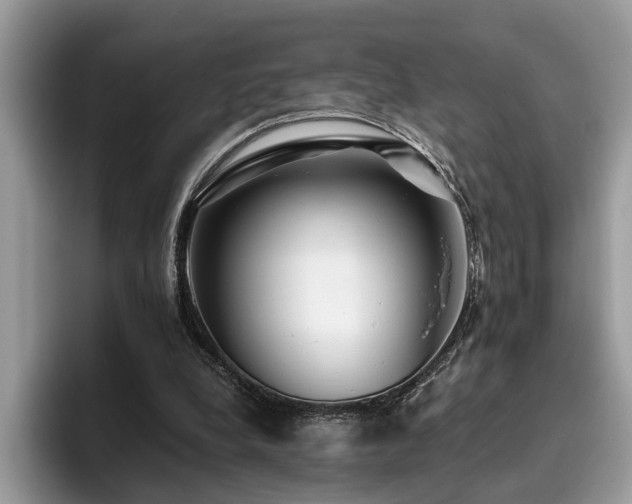 X0000096200248200801181347