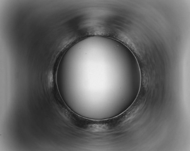X0000096200251200801181347