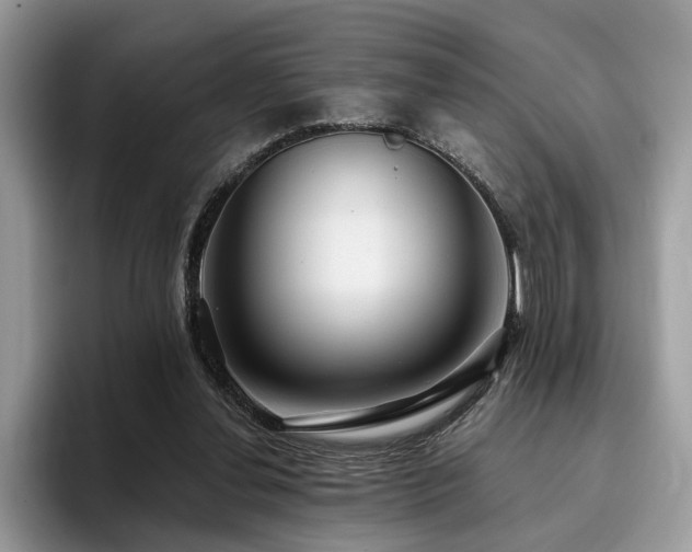 X0000096200252200801181347