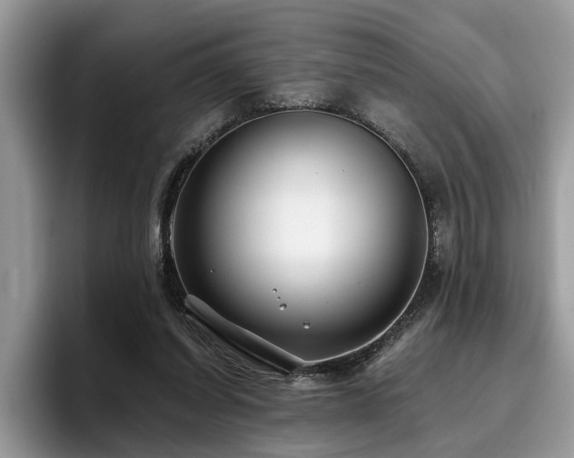 X0000096200254200801181347
