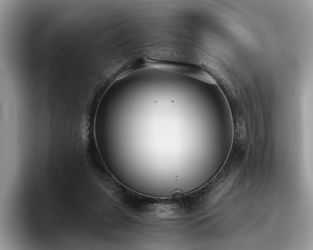 X0000096200255200801181347