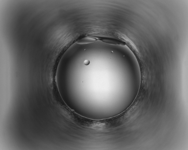 X0000096200257200801181347