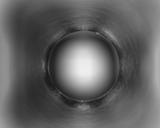 X0000096200258200801181347