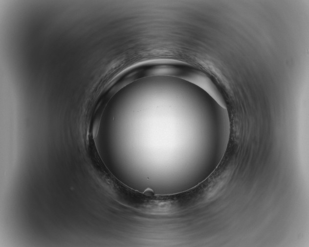 X0000096200260200801181347