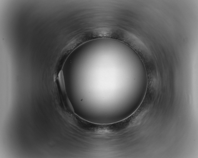 X0000096200262200801181347