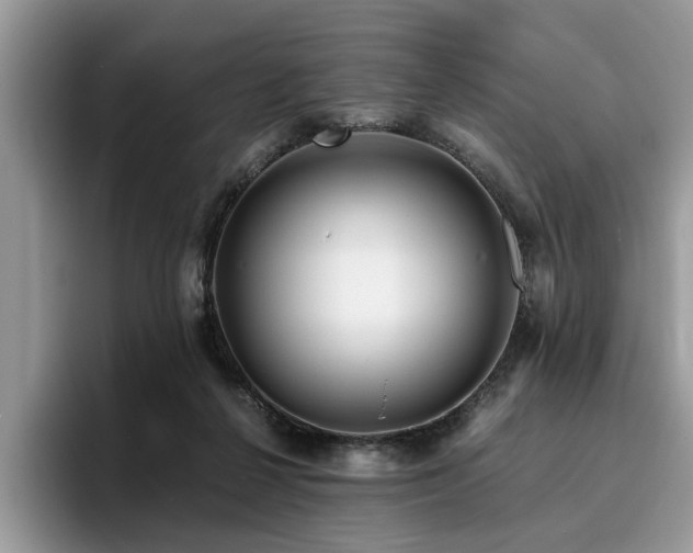 X0000096200264200801181347