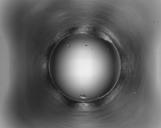 X0000096200265200801181347