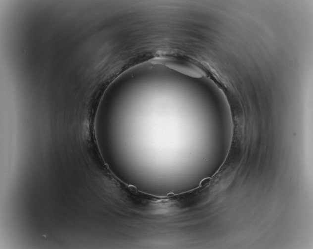 X0000096200269200801181347
