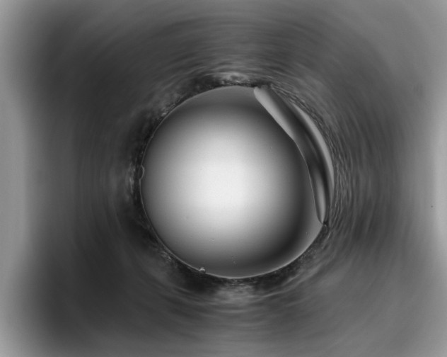 X0000096200271200801181347