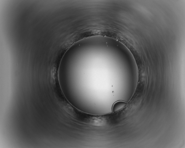 X0000096200275200801181347