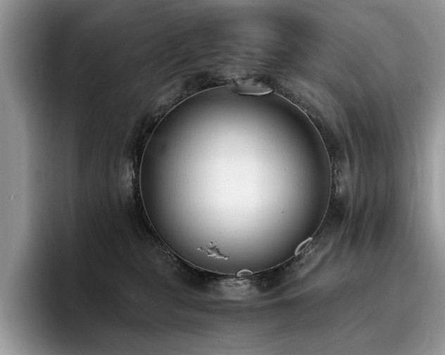 X0000096200279200801181347