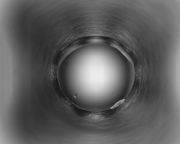 X0000096200280200801181347