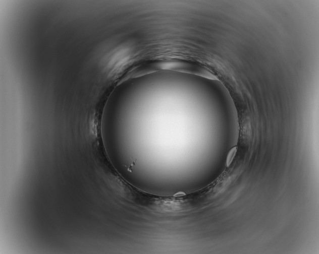 X0000096200282200801181347