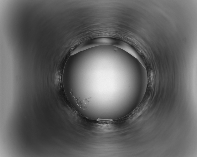 X0000096200284200801181347