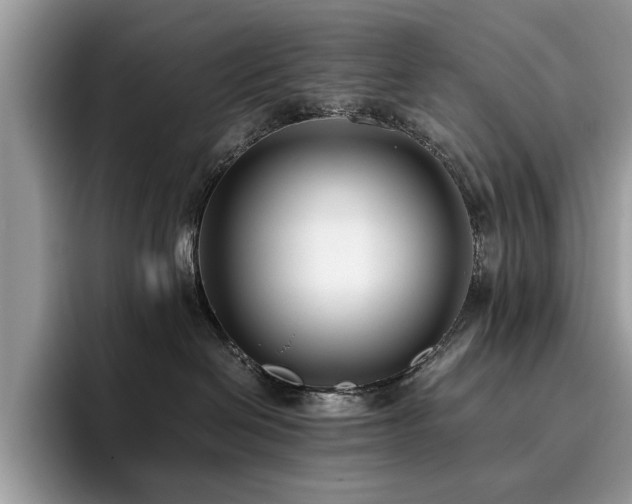 X0000096200286200801181347