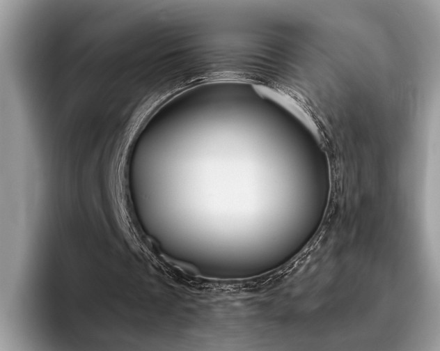 X0000096200289200801181346