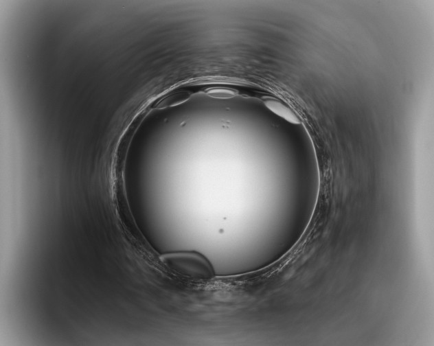 X0000096200290200801181346
