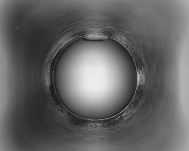 X0000096200291200801181346