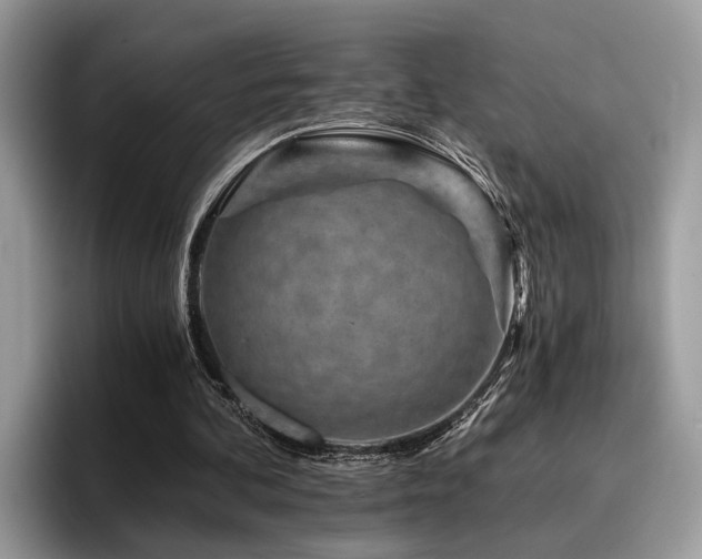 X0000096200292200801181346