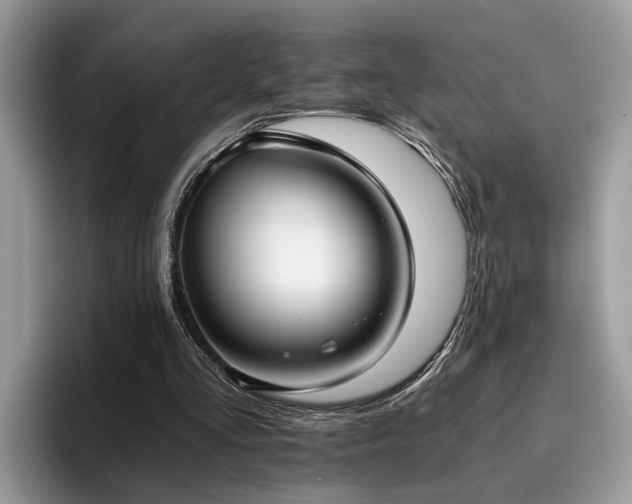 X0000096200293200801181346