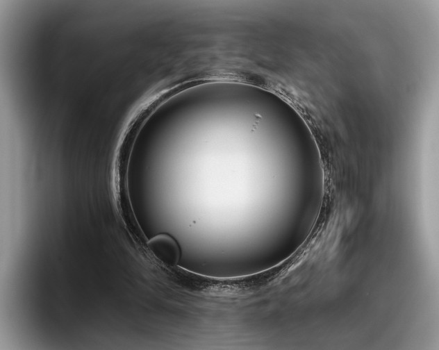 X0000096200294200801181346