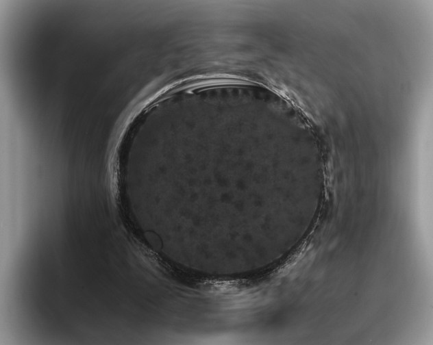 X0000096200295200801181346