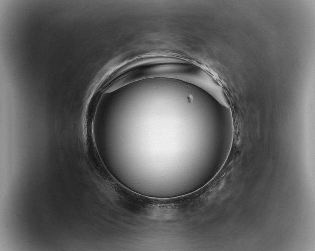 X0000096200296200801181346