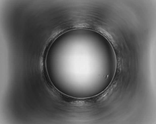 X0000096200298200801181346