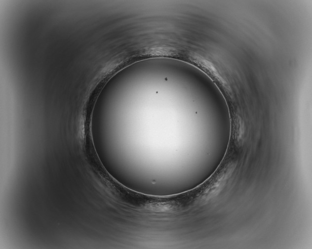 X0000096200299200801181346