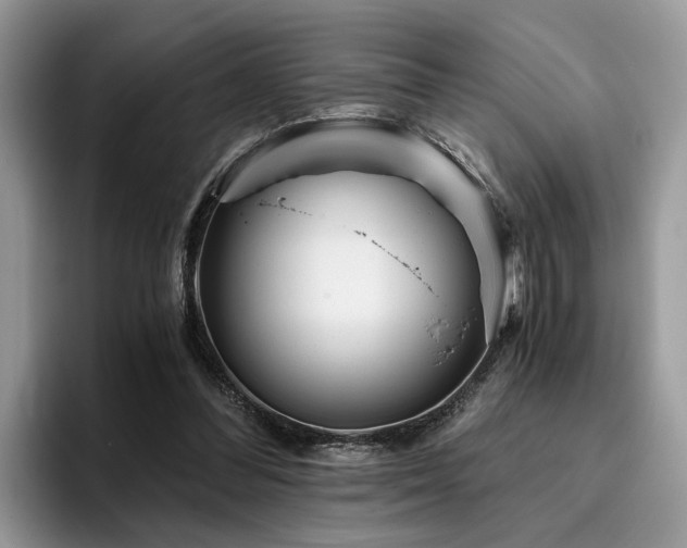 X0000096200300200801181346