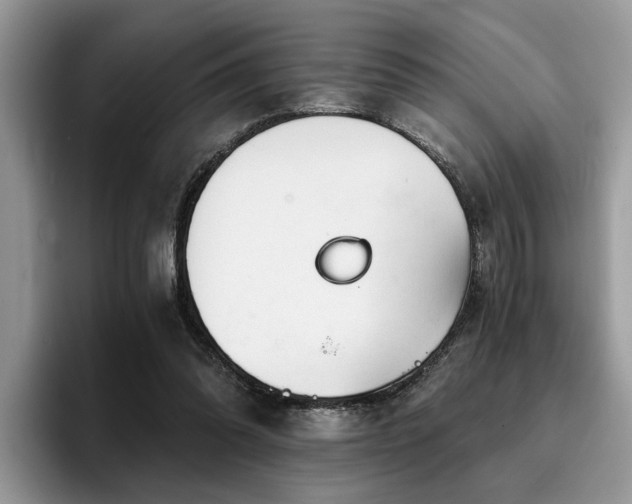 X0000096200302200801181346