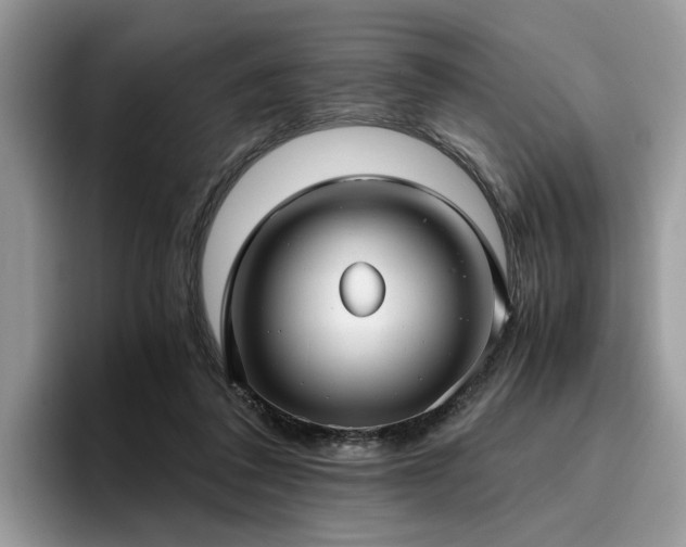 X0000096200308200801181346