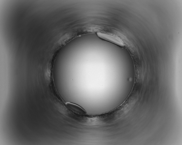 X0000096200309200801181346