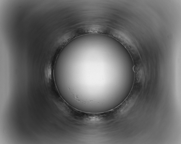 X0000096200310200801181346